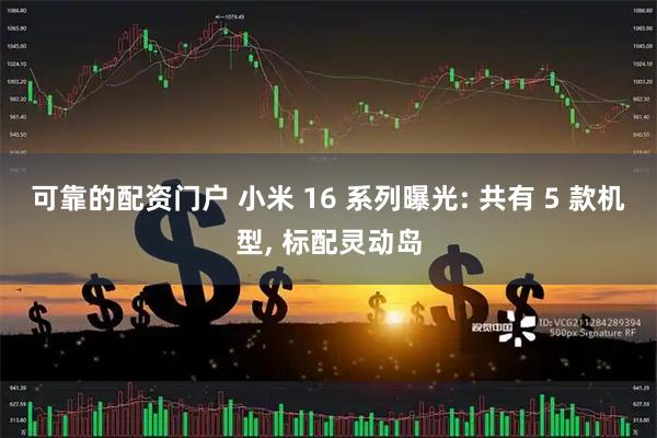 可靠的配资门户 小米 16 系列曝光: 共有 5 款机型, 标配灵动岛