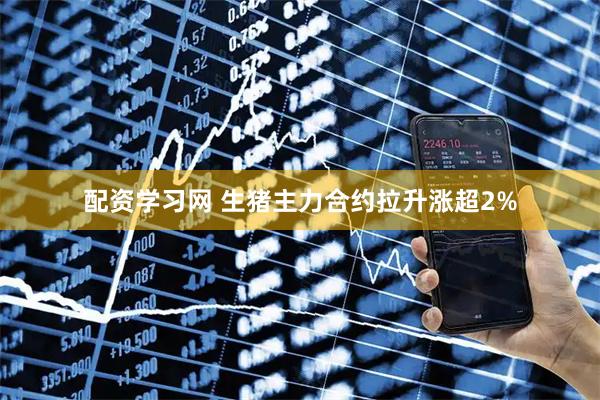 配资学习网 生猪主力合约拉升涨超2%