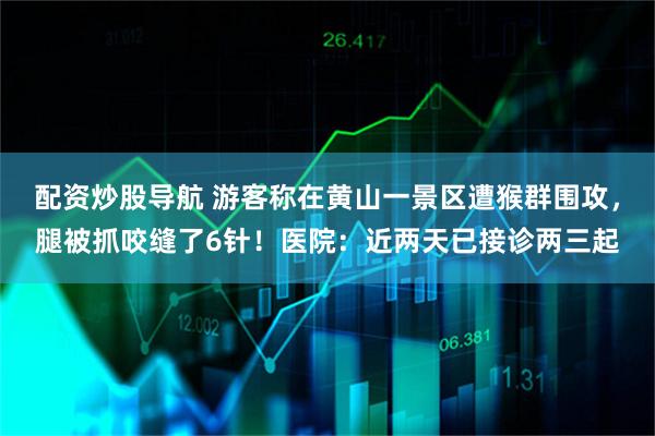配资炒股导航 游客称在黄山一景区遭猴群围攻，腿被抓咬缝了6针！医院：近两天已接诊两三起